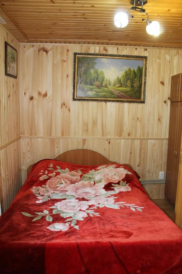 Котедж "Карпатський Краєвид" ヤレムチャ エクステリア 写真