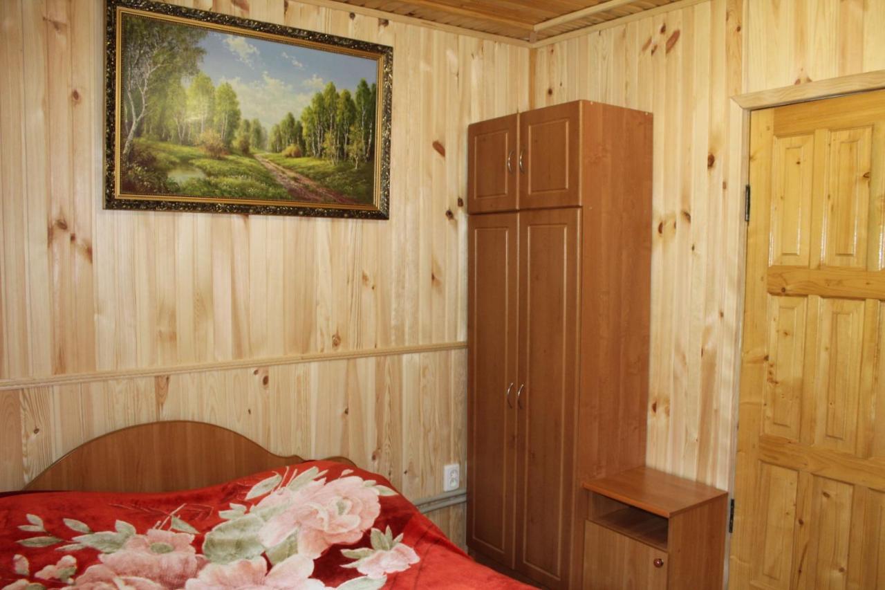 Котедж "Карпатський Краєвид" ヤレムチャ エクステリア 写真