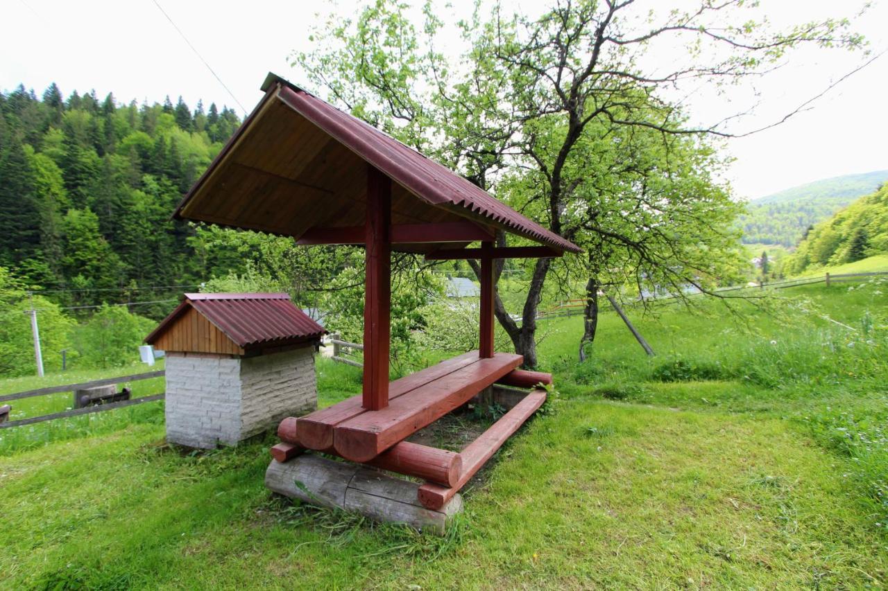 Котедж "Карпатський Краєвид" ヤレムチャ エクステリア 写真